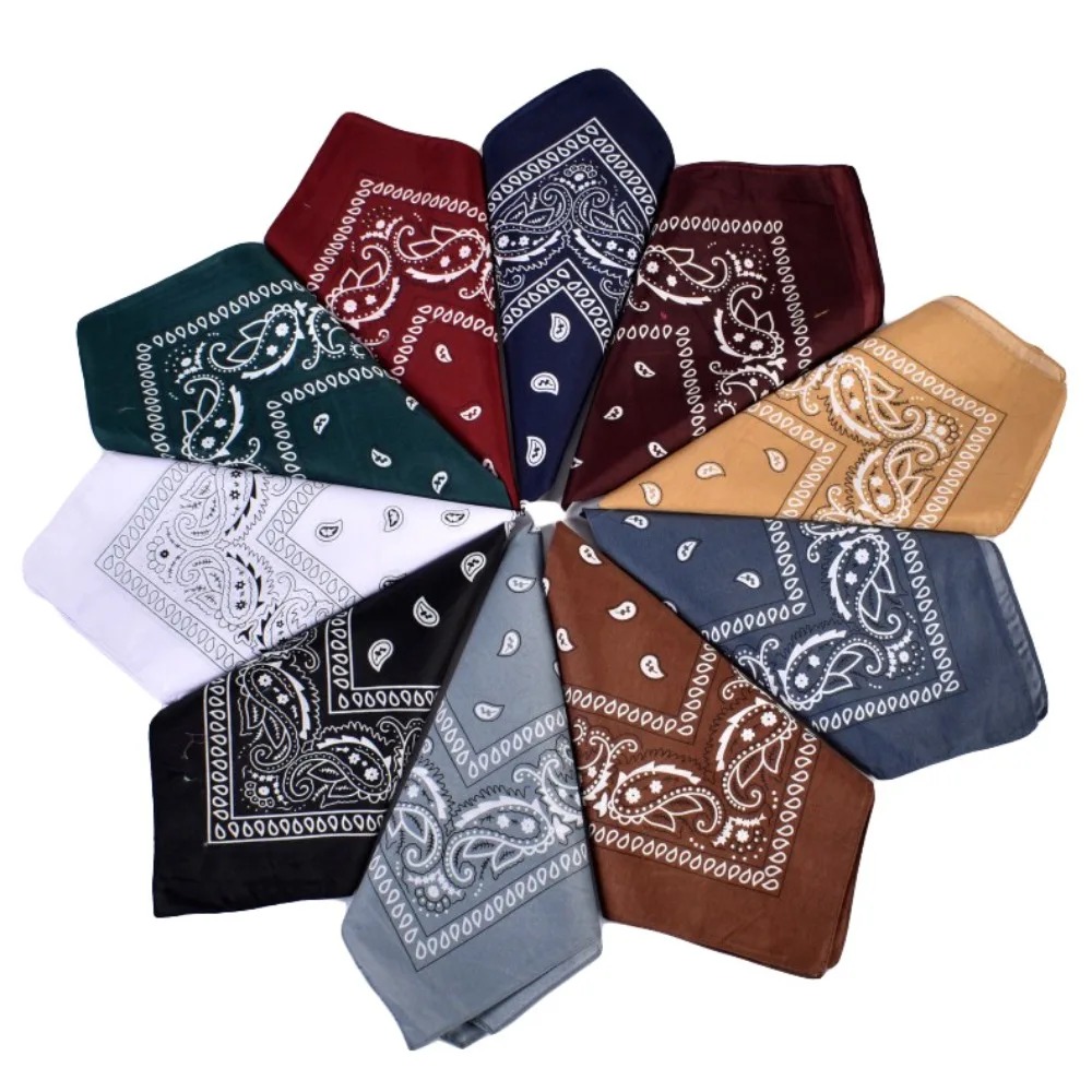 Hip Hop Cowboy Paisley Scarf L - Bandana Blank White recension och pris